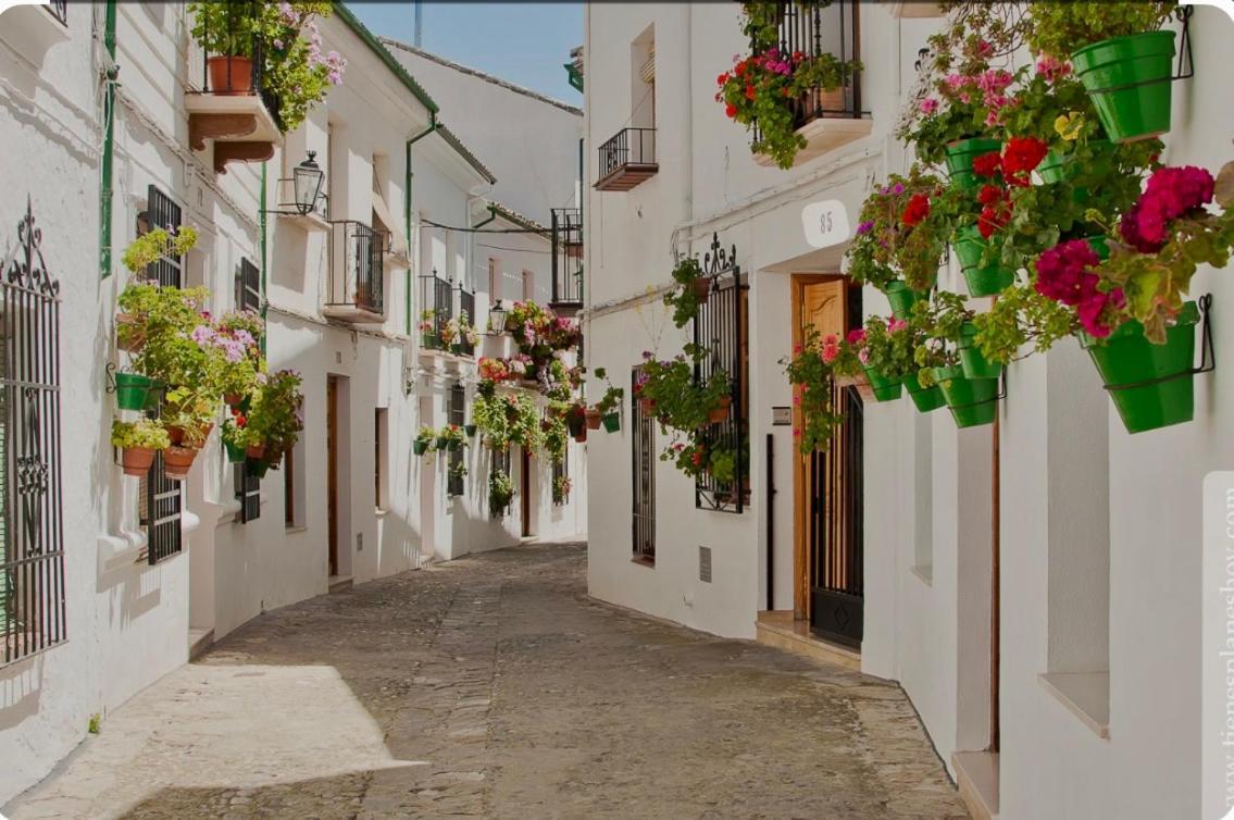 Apartamento E&D Nerja Εξωτερικό φωτογραφία